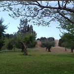 Potokia *