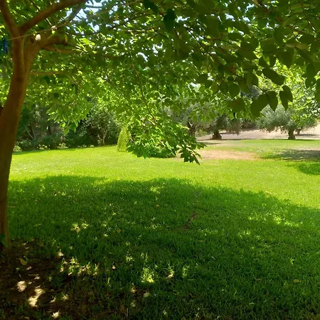Potokia Apartamento