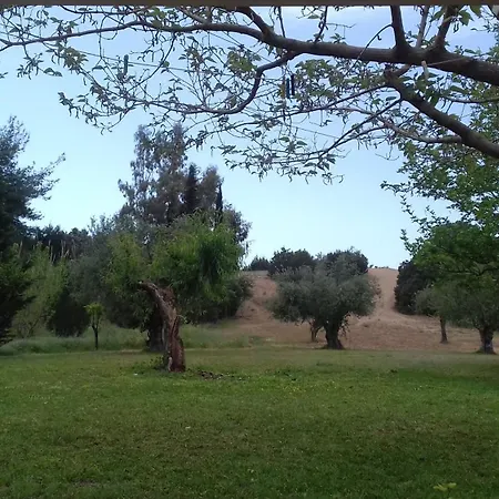 Potokia *