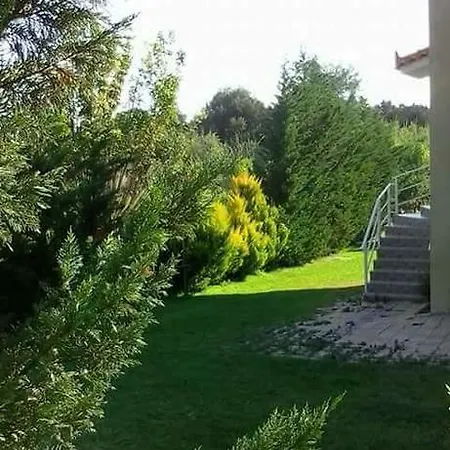 Potokia Daire