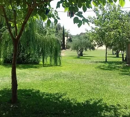 Potokia