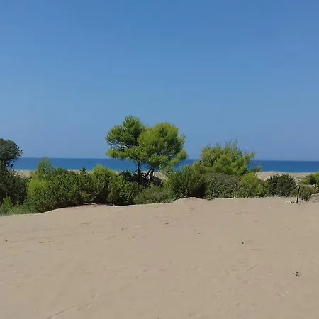 Potokia Kakovatos